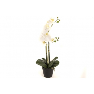 Beyaz 2li Yapay Orkide 58 cm
