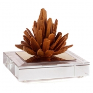 Amber Tree - Cam Kaideli Dekoratif Ağaç Obje 8x8x10 cm